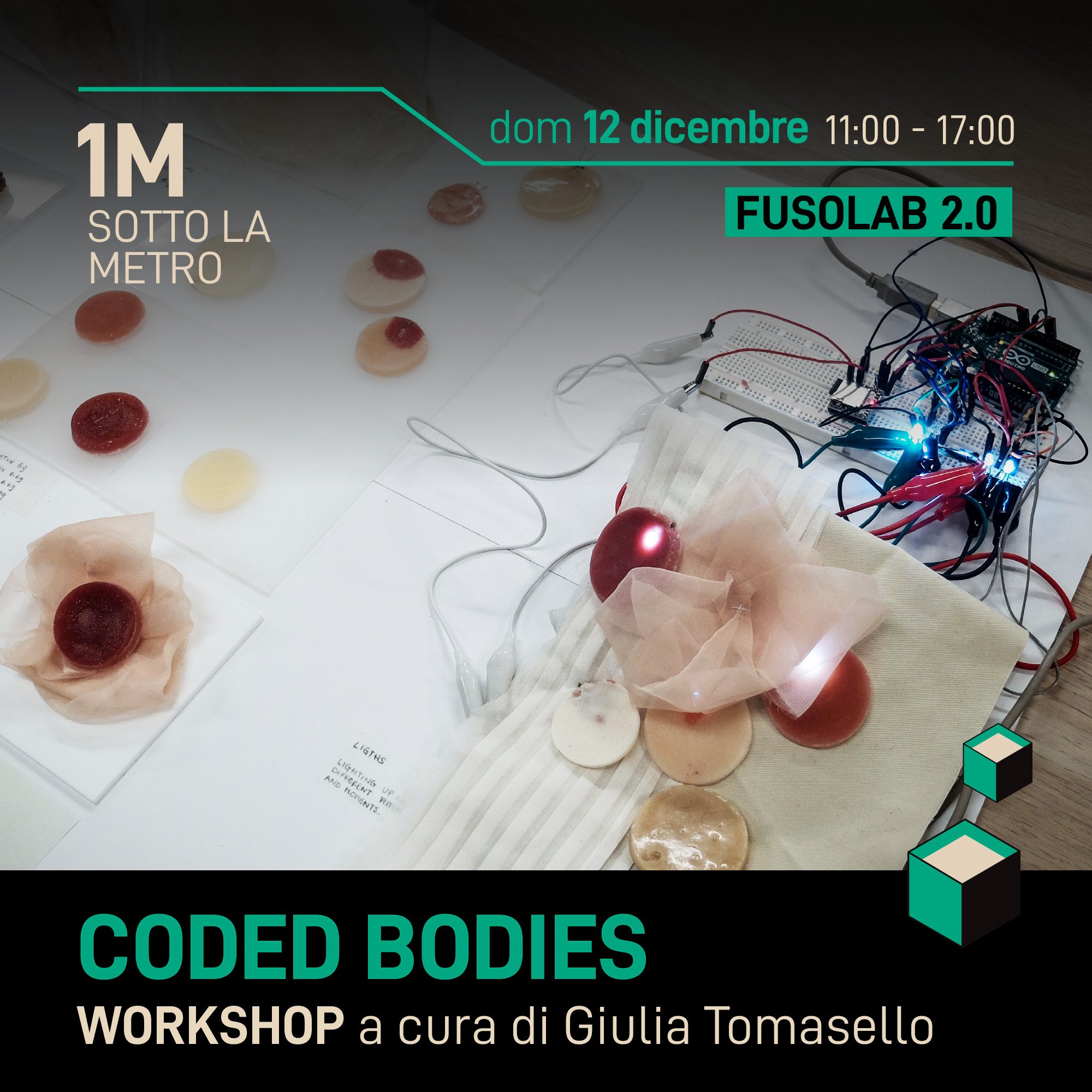 1MSM2 ws bodies