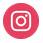 icon IN