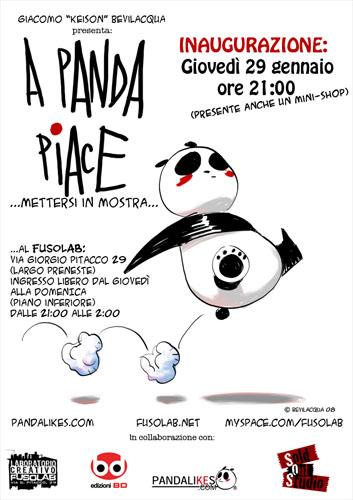 20090129_apandapiace.jpg 20090129_apandapiace.jpg