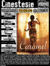 20090510_cinestesie_thumb.jpg