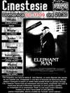 20091101_cinestesie_thumb.jpg